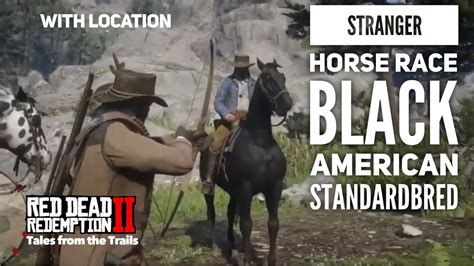 rdr2 horse race stranger